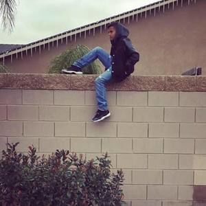 Meet your Posher, Sammy